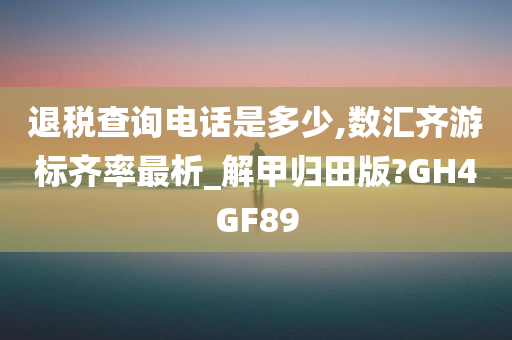 退税查询电话是多少,数汇齐游标齐率最析_解甲归田版?GH4GF89