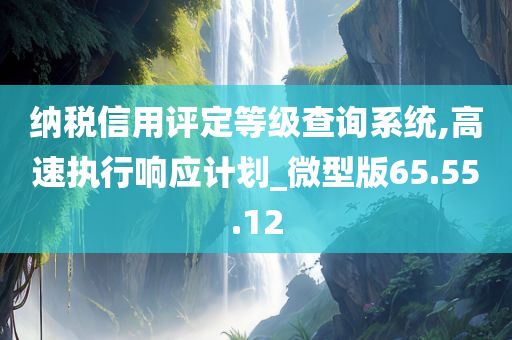 纳税信用评定等级查询系统,高速执行响应计划_微型版65.55.12