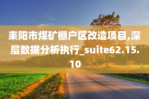 耒阳市煤矿棚户区改造项目,深层数据分析执行_suite62.15.10