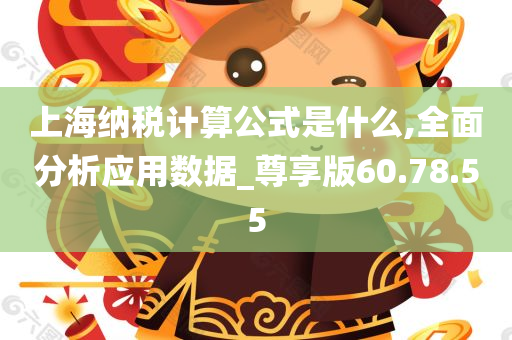 上海纳税计算公式是什么,全面分析应用数据_尊享版60.78.55