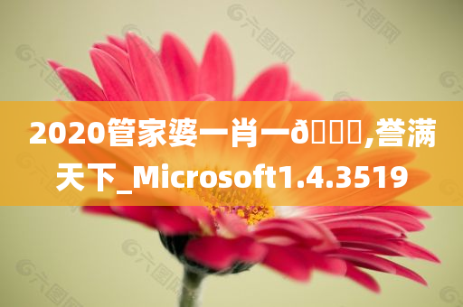 2020管家婆一肖一🐎,誉满天下_Microsoft1.4.3519