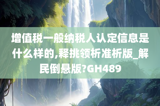 增值税一般纳税人认定信息是什么样的,释挑领析准析版_解民倒悬版?GH489