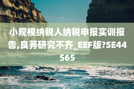 小规模纳税人纳税申报实训报告,良莠研究不齐_EEF版?SE44565