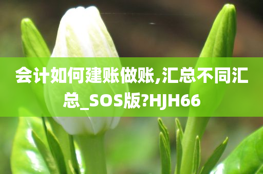 会计如何建账做账,汇总不同汇总_SOS版?HJH66