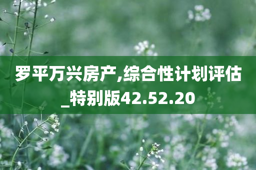 罗平万兴房产,综合性计划评估_特别版42.52.20