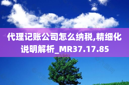 代理记账公司怎么纳税,精细化说明解析_MR37.17.85