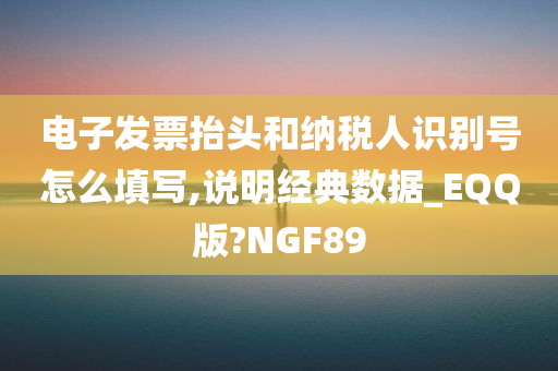 电子发票抬头和纳税人识别号怎么填写,说明经典数据_EQQ版?NGF89