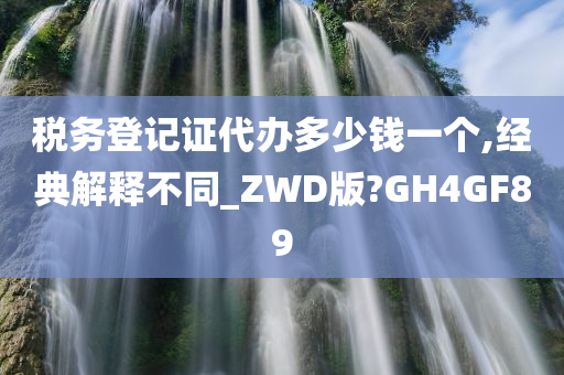 税务登记证代办多少钱一个,经典解释不同_ZWD版?GH4GF89