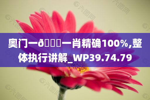 奥门一🐎一肖精确100%,整体执行讲解_WP39.74.79