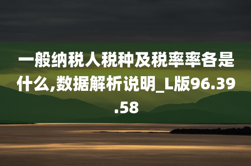 一般纳税人税种及税率率各是什么,数据解析说明_L版96.39.58