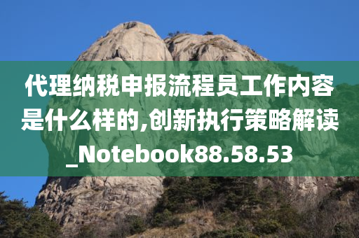 代理纳税申报流程员工作内容是什么样的,创新执行策略解读_Notebook88.58.53