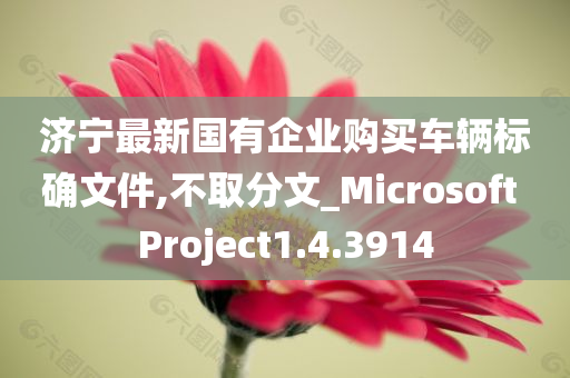 济宁最新国有企业购买车辆标确文件,不取分文_Microsoft Project1.4.3914