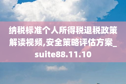 纳税标准个人所得税退税政策解读视频,安全策略评估方案_suite88.11.10