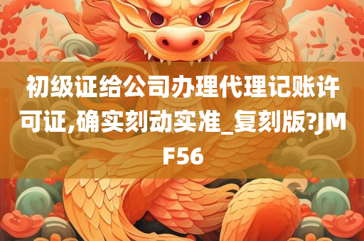 初级证给公司办理代理记账许可证,确实刻动实准_复刻版?JMF56