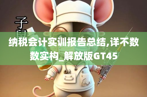 纳税会计实训报告总结,详不数数实构_解放版GT45