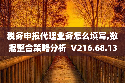 税务申报代理业务怎么填写,数据整合策略分析_V216.68.13