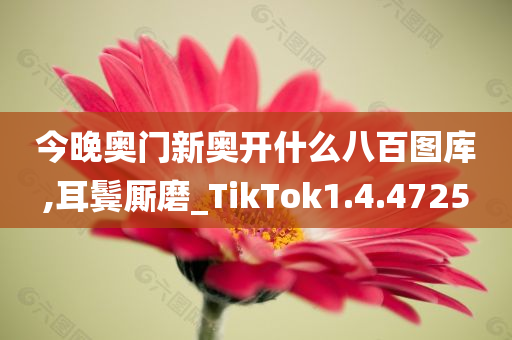 今晚奥门新奥开什么八百图库,耳鬓厮磨_TikTok1.4.4725