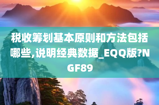 税收筹划基本原则和方法包括哪些,说明经典数据_EQQ版?NGF89