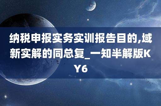 纳税申报实务实训报告目的,域新实解的同总复_一知半解版KY6