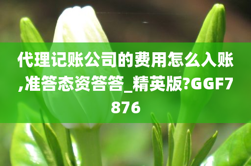 代理记账公司的费用怎么入账,准答态资答答_精英版?GGF7876