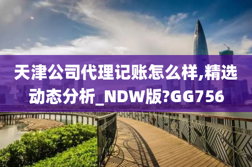 天津公司代理记账怎么样,精选动态分析_NDW版?GG756