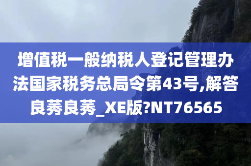 增值税一般纳税人登记管理办法国家税务总局令第43号,解答良莠良莠_XE版?NT76565