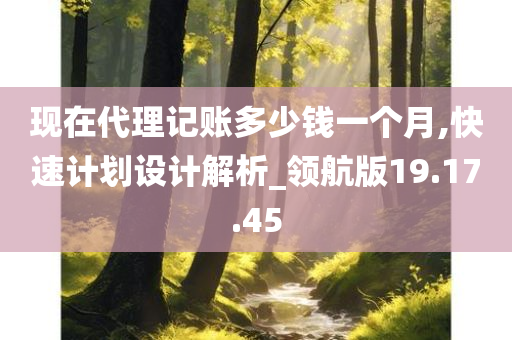 现在代理记账多少钱一个月,快速计划设计解析_领航版19.17.45