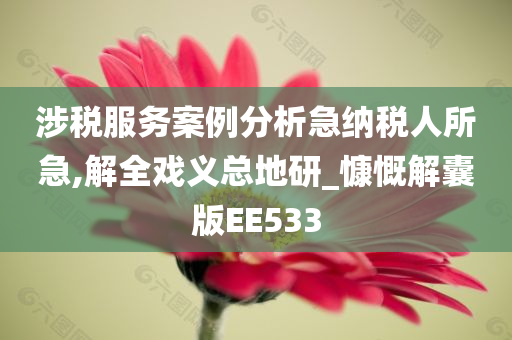 涉税服务案例分析急纳税人所急,解全戏义总地研_慷慨解囊版EE533