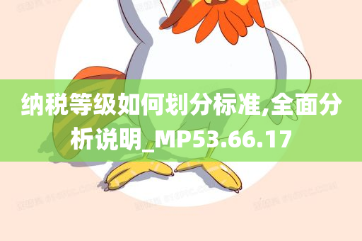 纳税等级如何划分标准,全面分析说明_MP53.66.17