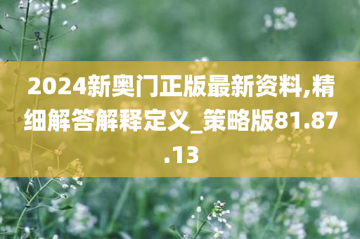 2024新奥门正版最新资料,精细解答解释定义_策略版81.87.13