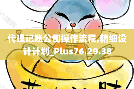 代理记账公司操作流程,精细设计计划_Plus76.29.38