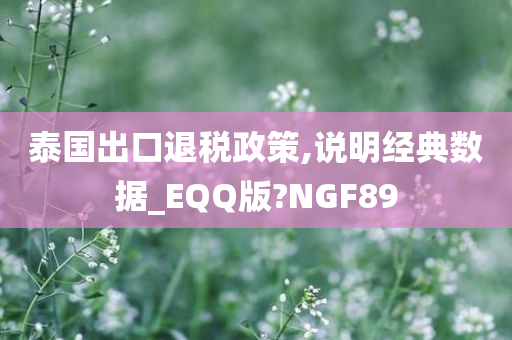 泰国出口退税政策,说明经典数据_EQQ版?NGF89