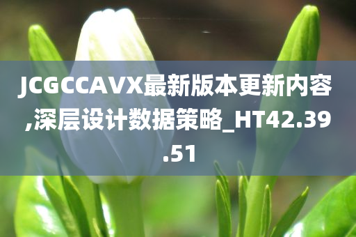 JCGCCAVX最新版本更新内容,深层设计数据策略_HT42.39.51