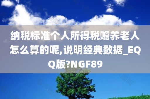 纳税标准个人所得税赡养老人怎么算的呢,说明经典数据_EQQ版?NGF89