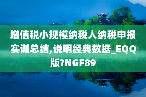 增值税小规模纳税人纳税申报实训总结,说明经典数据_EQQ版?NGF89