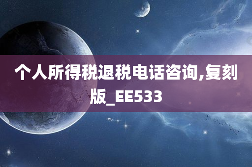 个人所得税退税电话咨询,复刻版_EE533