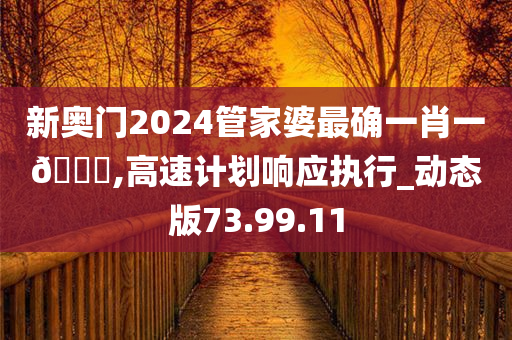 新奥门2024管家婆最确一肖一🐎,高速计划响应执行_动态版73.99.11