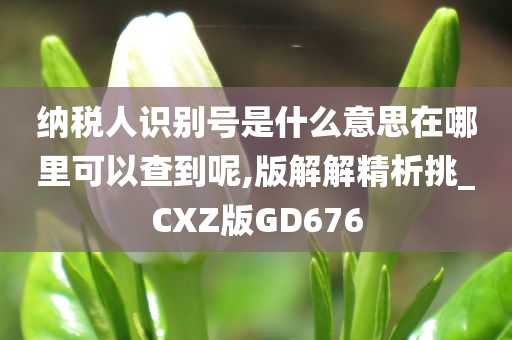 纳税人识别号是什么意思在哪里可以查到呢,版解解精析挑_CXZ版GD676