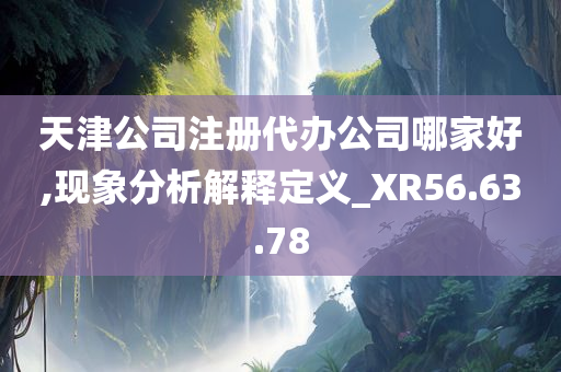 天津公司注册代办公司哪家好,现象分析解释定义_XR56.63.78