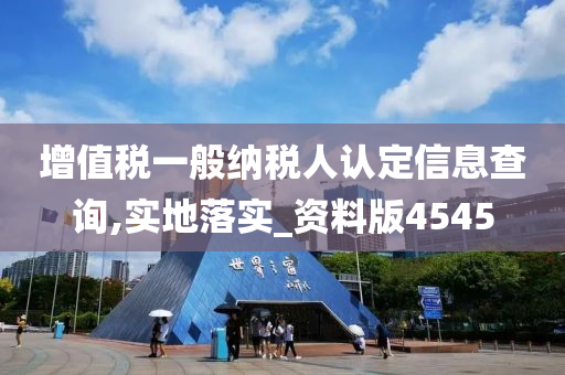 增值税一般纳税人认定信息查询,实地落实_资料版4545