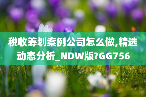 税收筹划案例公司怎么做,精选动态分析_NDW版?GG756