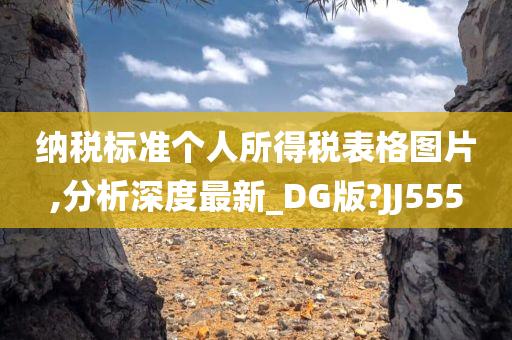 纳税标准个人所得税表格图片,分析深度最新_DG版?JJ555