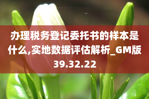 办理税务登记委托书的样本是什么,实地数据评估解析_GM版39.32.22