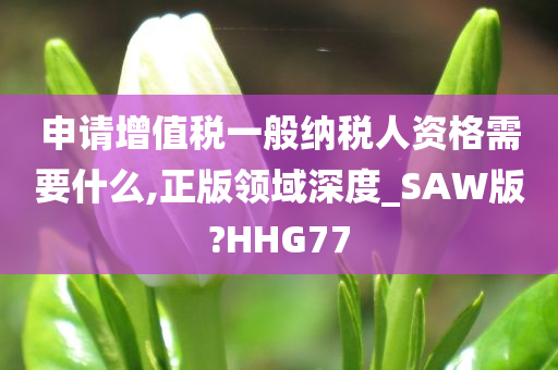 申请增值税一般纳税人资格需要什么,正版领域深度_SAW版?HHG77