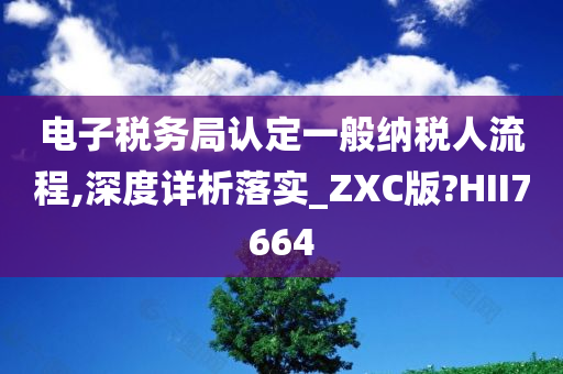 电子税务局认定一般纳税人流程,深度详析落实_ZXC版?HII7664