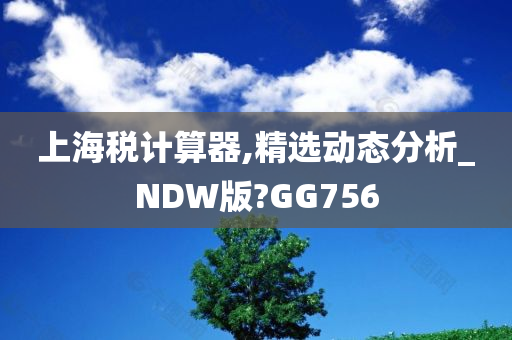 上海税计算器,精选动态分析_NDW版?GG756