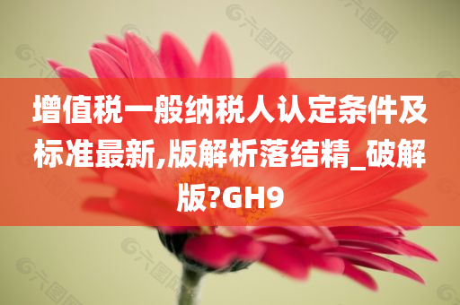 增值税一般纳税人认定条件及标准最新,版解析落结精_破解版?GH9