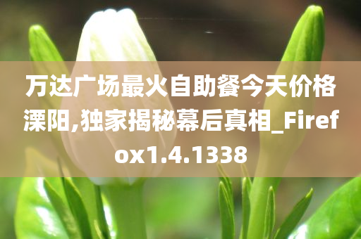 万达广场最火自助餐今天价格溧阳,独家揭秘幕后真相_Firefox1.4.1338