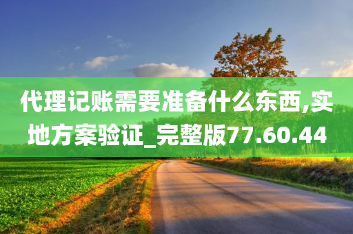 代理记账需要准备什么东西,实地方案验证_完整版77.60.44