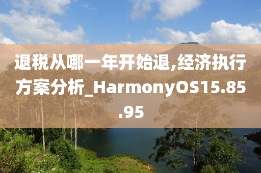 退税从哪一年开始退,经济执行方案分析_HarmonyOS15.85.95